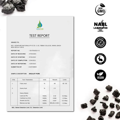 Natural & Pure Shilajit/Shilajeet Resin for Men & Women 50Gram